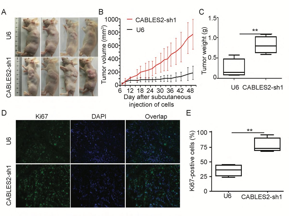 Guo et al.,Gastroenterology