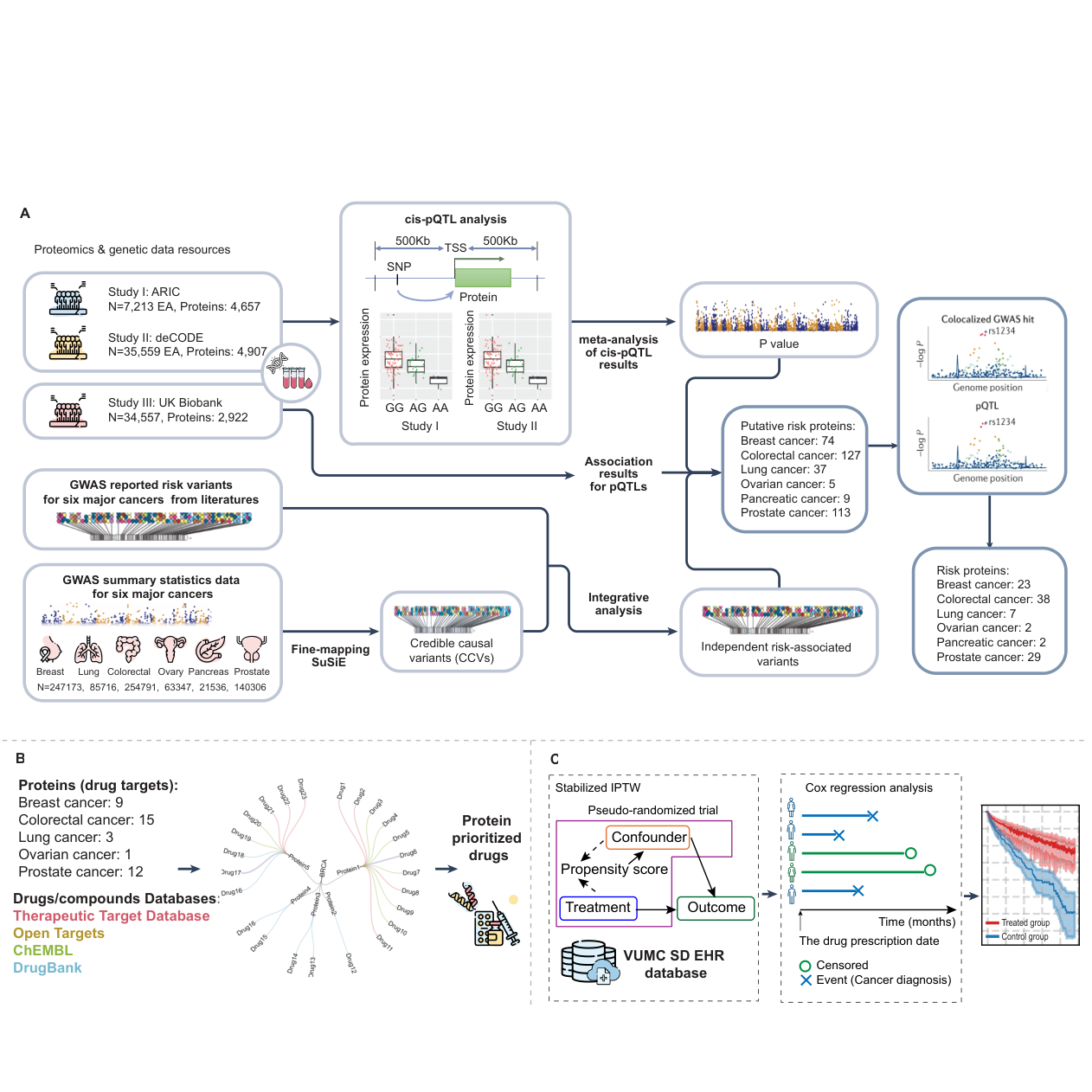 Research highlight 9 (Figure 1)